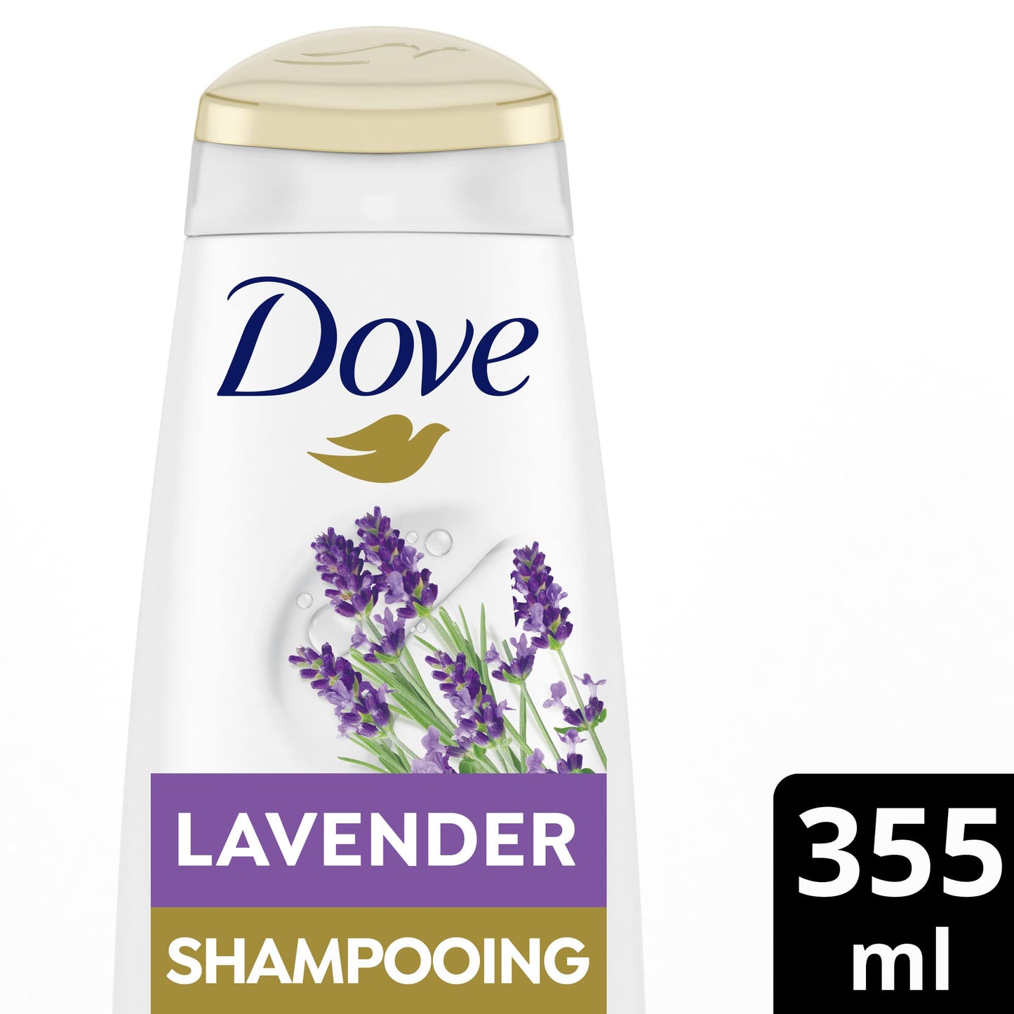Dove Volume Shampoo for Thinning Hair Thickening Ritual Hair Shampoo with Lavender 12 oz Beauty & Personal Care Dove