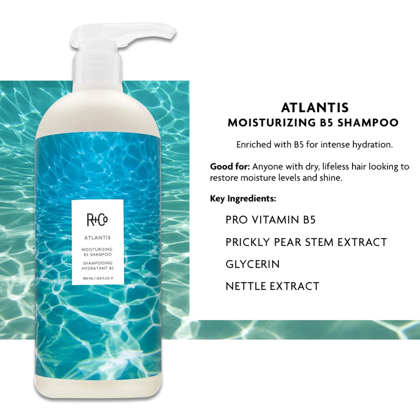 R+Co Atlantis Moisturizing B5 Shampoo and Conditioner Set - Deep Hydration & Repair for Dry, Damaged, Tired Hair - Restores Moisture, Softness & Shine Beauty & Personal Care R+Co