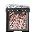 Chantecaille, Luminescent Eye Shade, Zebra Beauty & Personal Care Chantecaille