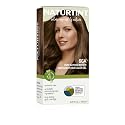 Naturtint 6GA Deep Almond Brown Permanent Hair Color (Pack of 1), Ammonia Free, Vegan, Cruelty Free, up to 100% Gray Coverage, Long Lasting Results Beauty & Personal Care Naturtint