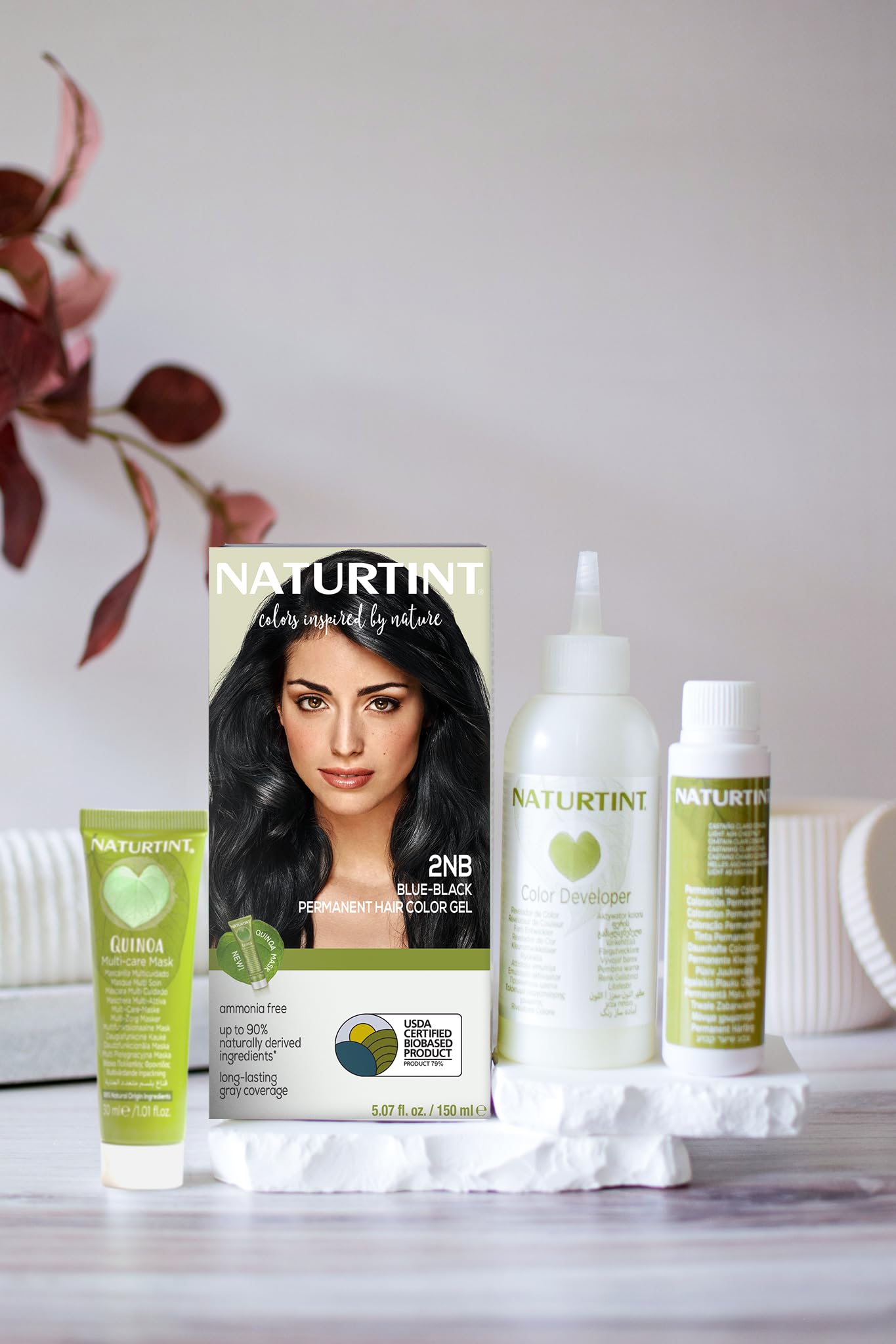 Naturtint 2NB Blue Black Permanent Hair Color (Pack of 1), Ammonia Free, Vegan, Cruelty Free, up to 100% Gray Coverage, Long Lasting Results Beauty & Personal Care Naturtint
