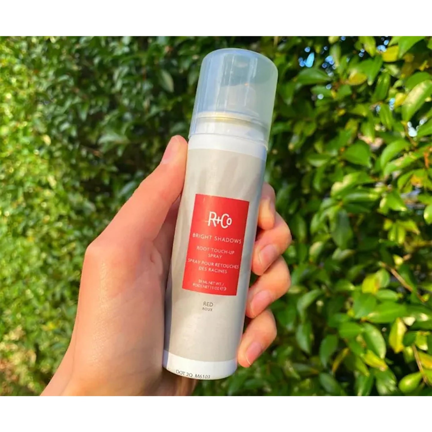 R+Co BRIGHT SHADOWS Root Touch-Up Spray Red 59 ml / 1.5 oz Beauty & Personal Care R+Co