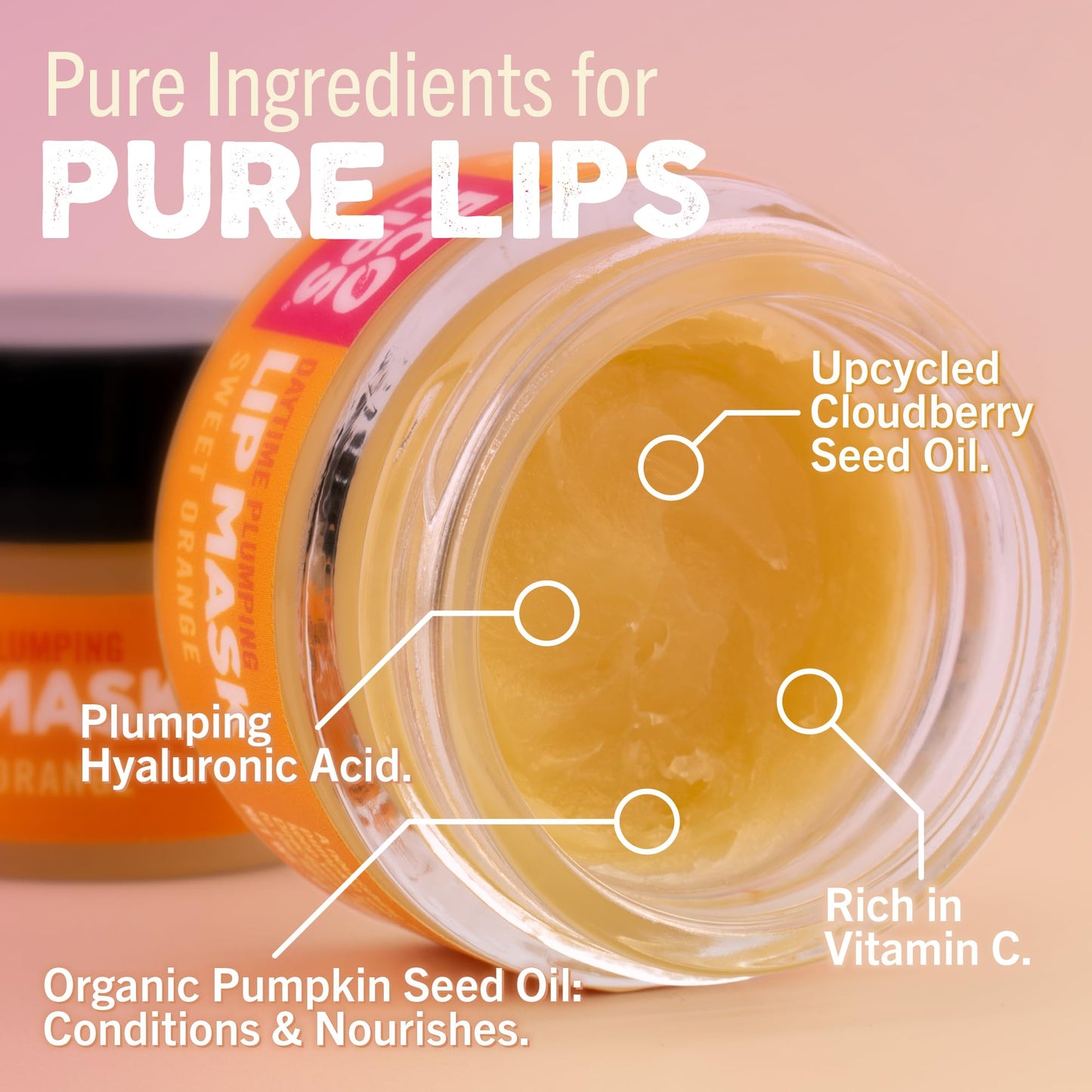 Eco Lips Daily Plumping Lip Mask with Hyaluronic Acid + Overnight Intensive Lip Mask with Gotu Kola 2-pack by Eco Lips 100% Natural. Made in USA Beauty & Personal Care Eco Lips