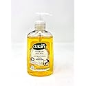Dalan Hand Wash Anti-Bacterial Active Protection 10.15 Ounce Pump (300ml) Beauty & Personal Care Dalan