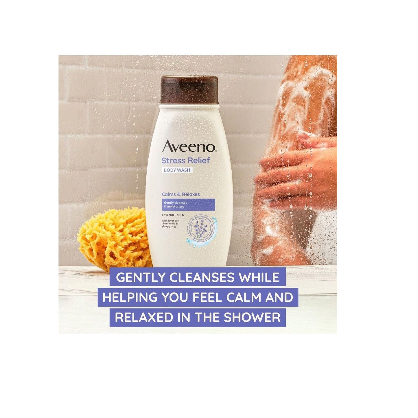 AVEENO Active Naturals Body Wash, Stress Relief 12 oz (Pack of 4) Beauty & Personal Care Aveeno