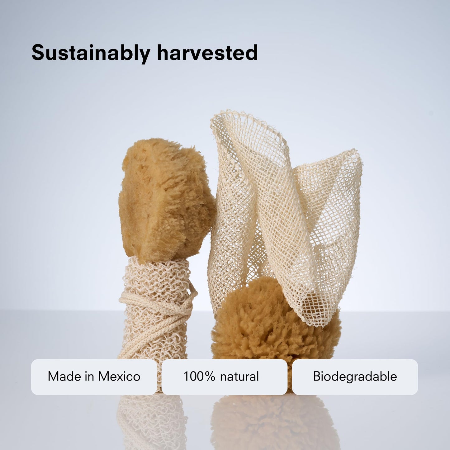 Public Goods Exfoliating Body Scrubber - Ayate Bath Strip for Shower - Back Scrubber Made with Natural Agave Fibers for Exfoliation - Plant-Based Beauty and Personal Care Public Goods