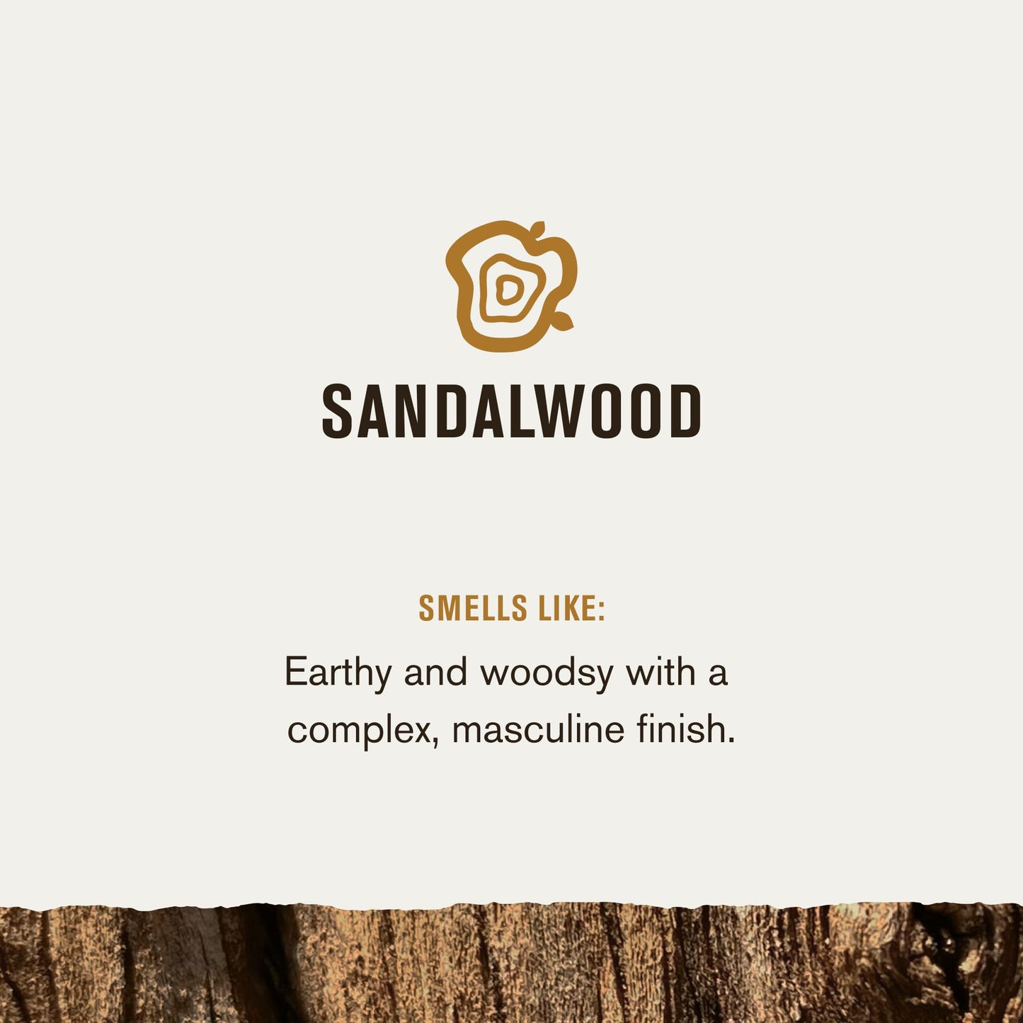 Every Man Jack, Shampoo And Body Bar 2 In 1 Sandalwood, 5 Ounce Beauty & Personal Care Every Man Jack