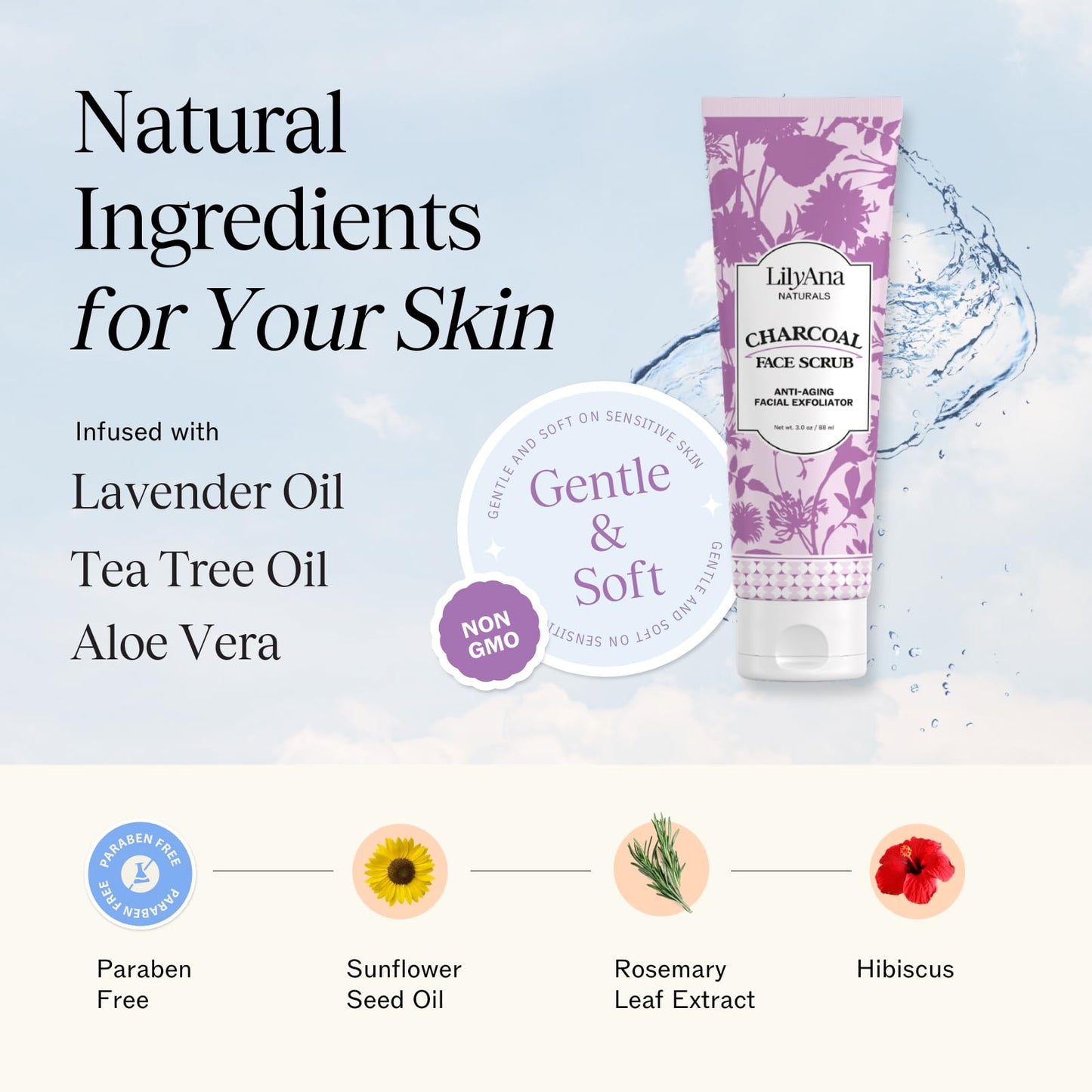 LilyAna Naturals Charcoal Face Scrub - Facial Exfoliator - Microdermabrasion Scrub - Facial Skin Care Products for Women and Men - Lavender and Tea Beauty & Personal Care LilyAna Naturals