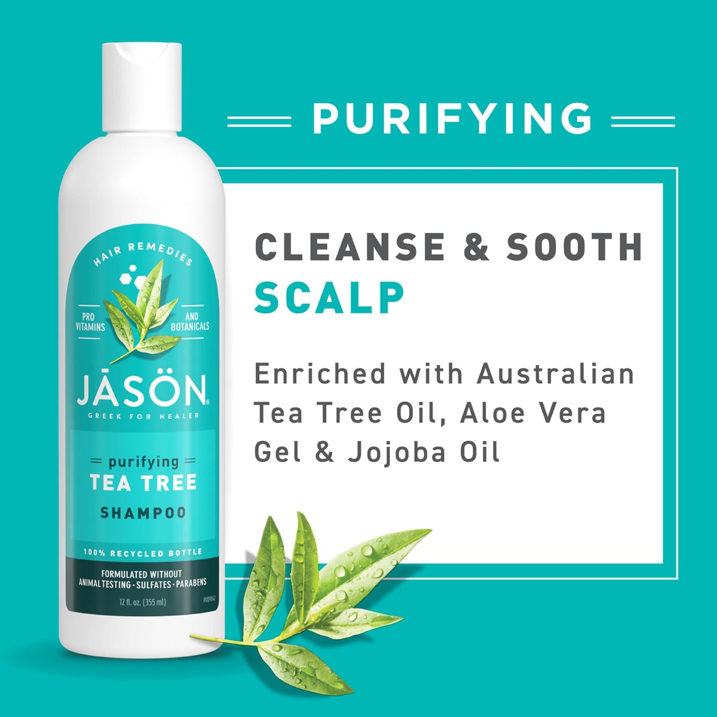 Jason Tea Tree Shampoo 12 oz Beauty & Personal Care JASON