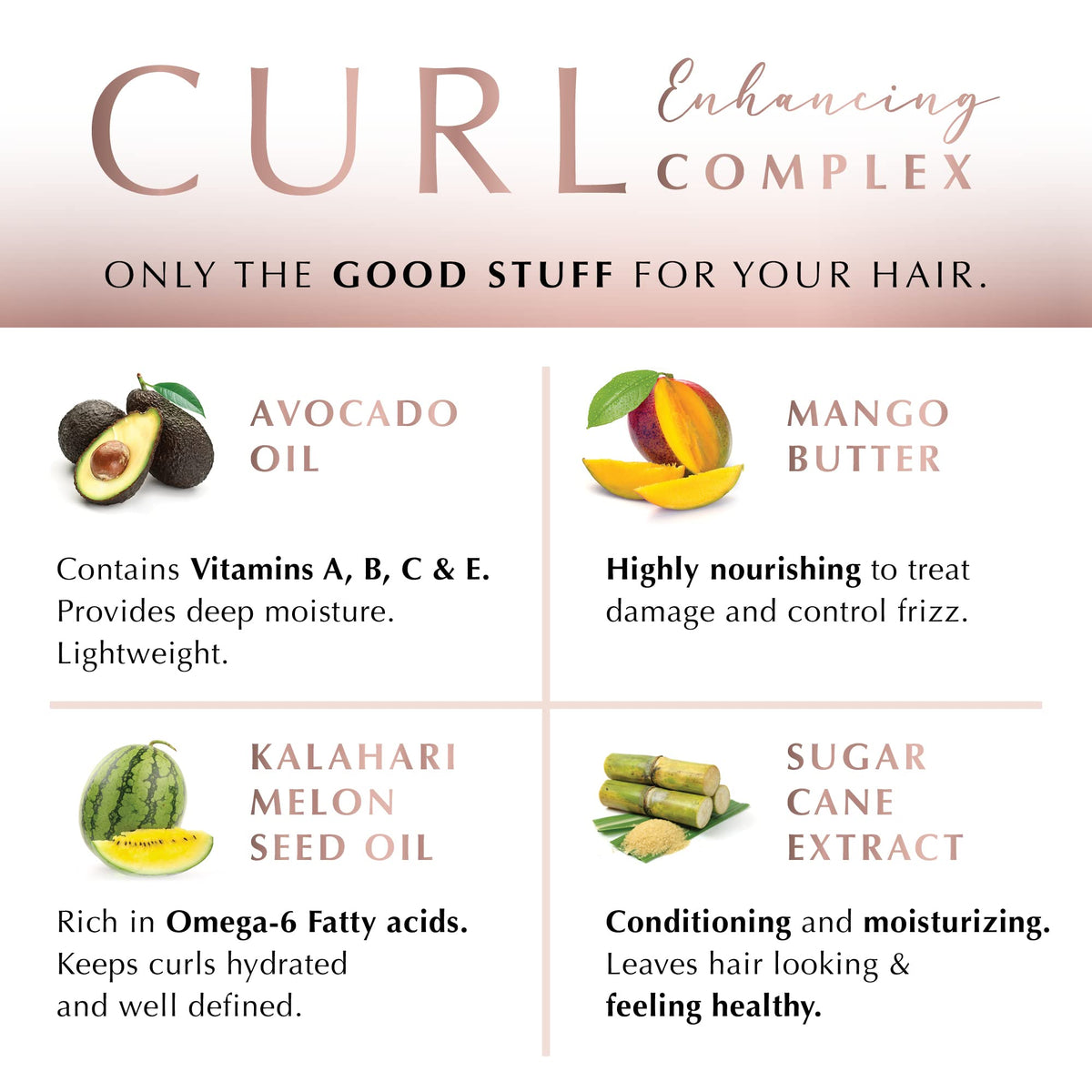 ECRU New York Curl Perfect Hydrating Shampoo, Curly Hair Shampoo for Women or Men, 24oz Beauty & Personal Care Ecru New York