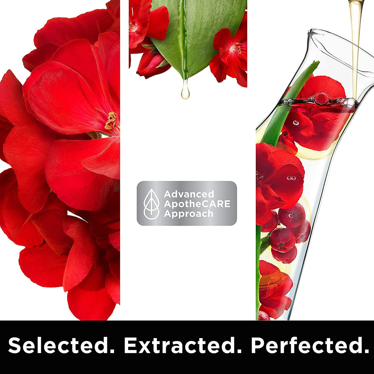 ApotheCARE Essentials The Booster Conditioner Rosehip Oil, Geranium, Aloe Vera 12 oz Beauty & Personal Care ApotheCARE Essentials