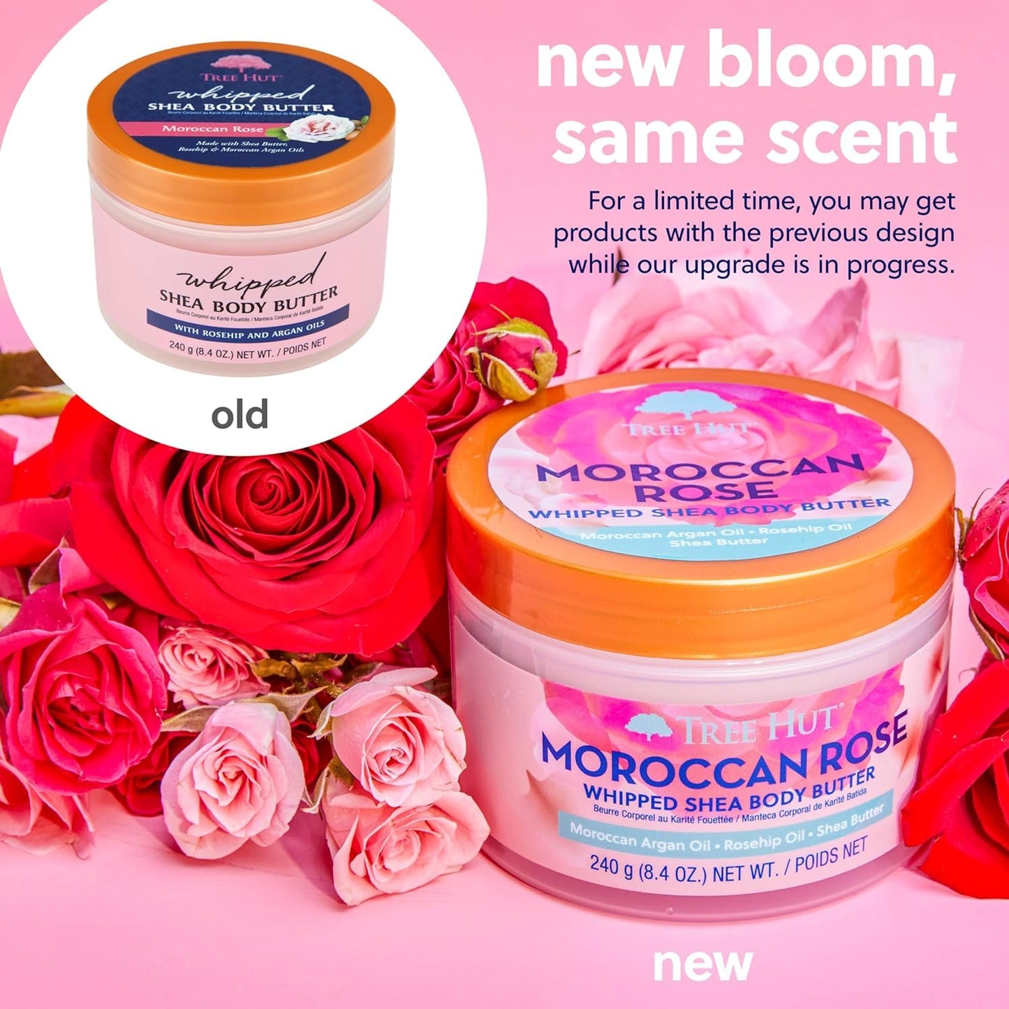 Tree Hut Moroccan Rose Whipped Shea Body Butter, Hydrating & Nourishing Body Lotion with Natural Oils, Moisturizer for Soft & Smooth Skin, 8.4 Oz Beauty & Personal Care Tree Hut