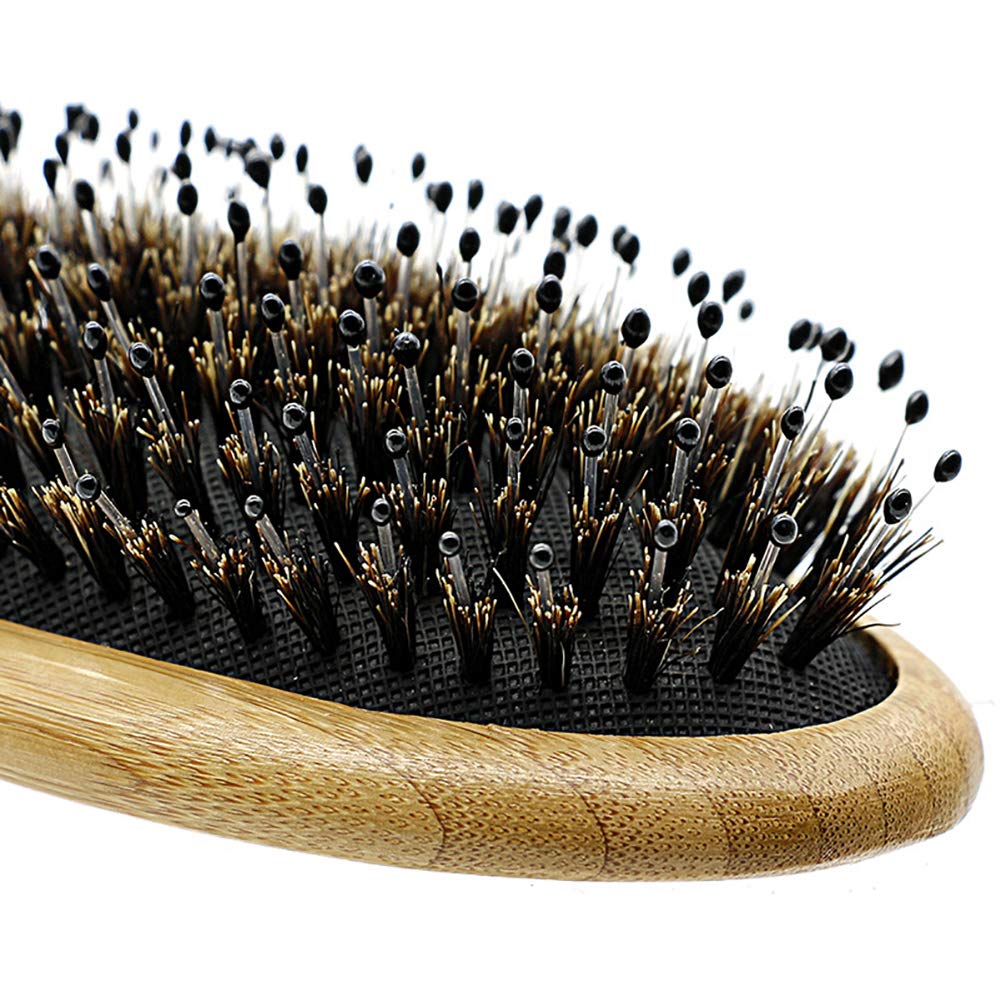 WeTest Upgraded Natural Boar Bristle Hair Brush - Wooden Bamboo Hair Brush for Thick Hair & Anti Static Detangling Reducing Hair Breakage(2 Pack) Beauty & Personal Care WeTest