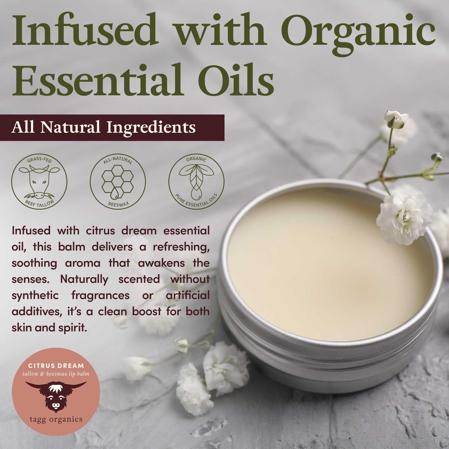 Citrus Dream Moisturizing Tallow Lip Balm - Nourishing & Soothing w/Organic Grass-Fed & Finished Tallow, 100% All Natural Beeswax & Essential Oils Beauty and Personal Care TAGG ORGANICS
