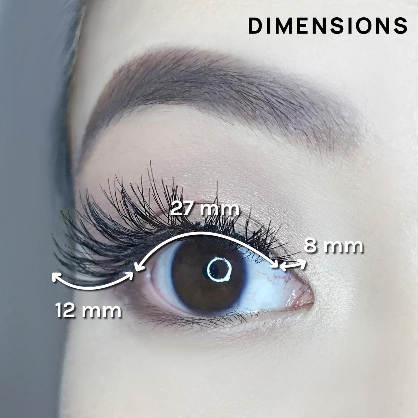 AOA Studio 6 Pairs Alexis Natural Handmade False Eyelashes with Glue and Tweezer Lash Kit Natural Volume Reusable Fake Eyelashes 100 Percent Handmade Beauty & Personal Care AOA STUDIO
