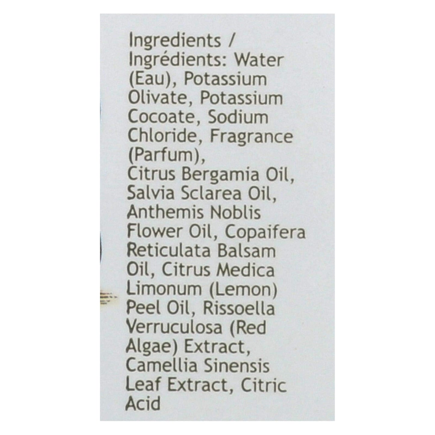 South Of France Hand Wash Green Tea 8 Oz by South Of France Beauty & Personal Care South Of France