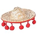 Sombrero Hair Clip Party Accessory (1 count) (1/Pkg) Beauty & Personal Care Beistle