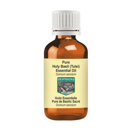 Devprayag Holy Essential Oil (Ocimum Sanctum) Pure - Non-Sticky - Non-Greasy - Lightweight - Men & Women - All Skin Types - Steam Distilled 15ml (0.5 Beauty and Personal Care DEVPRAYAG