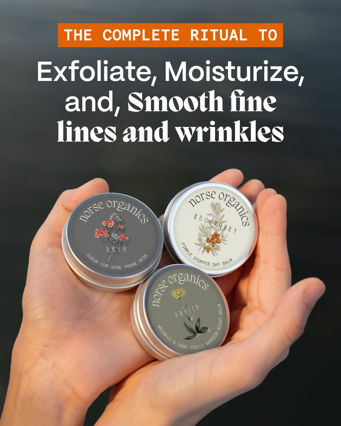 Norse Organics | Anti Age & Glow Ritual | 3 Step System Wrinkle Warrior Day Balm Face Scrub | Wild Arnica Pomegranate Arctic Herbs | Natural Skincare Beauty & Personal Care Norse Organics