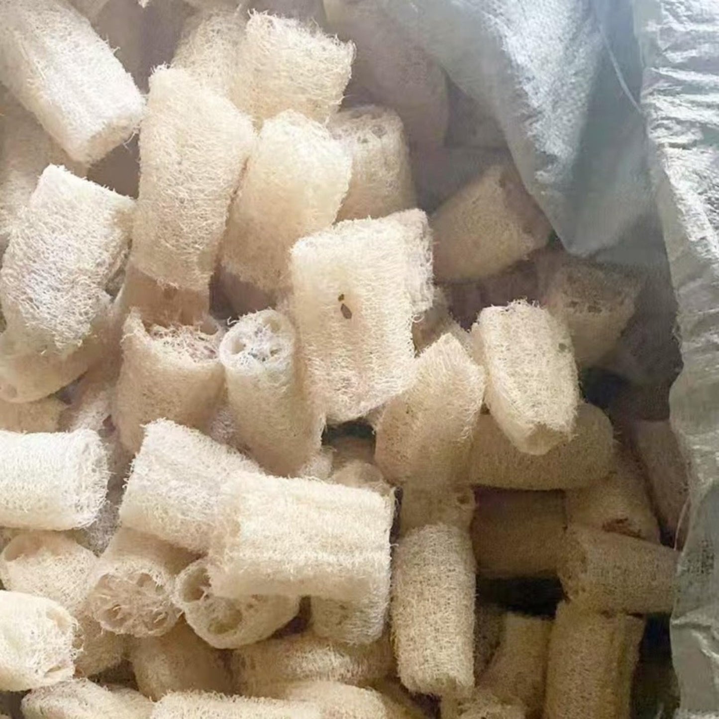 Natural loofah Skin Brush Dish Beauty and Personal Care IWEOOKJM