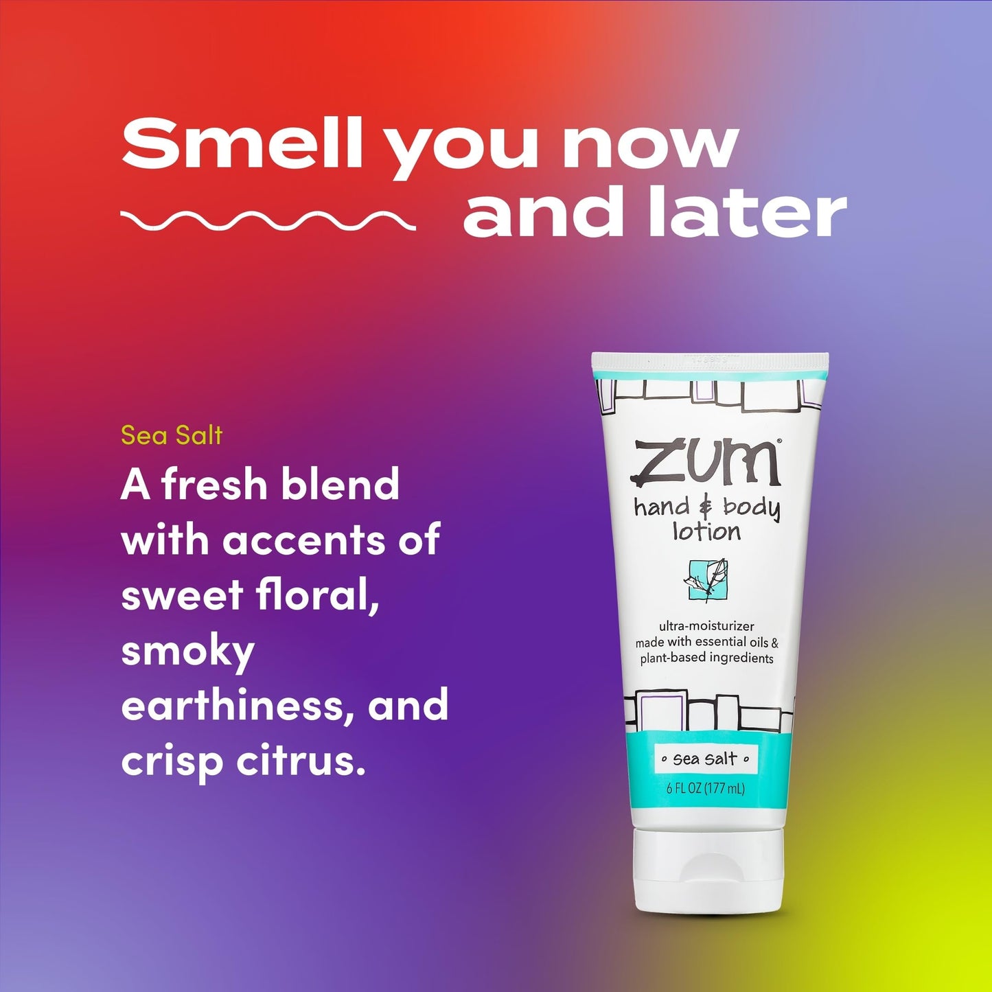 Zum Hand and Body Lotion - Sea Salt - 6 fl oz Beauty & Personal Care Zum