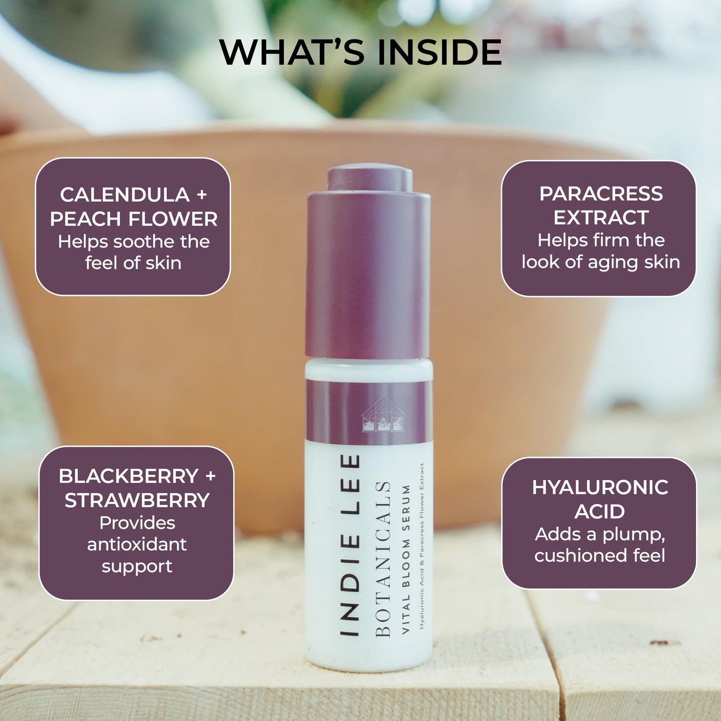 Indie Lee Vital Bloom Serum, 1 Fz Beauty & Personal Care Indie Lee