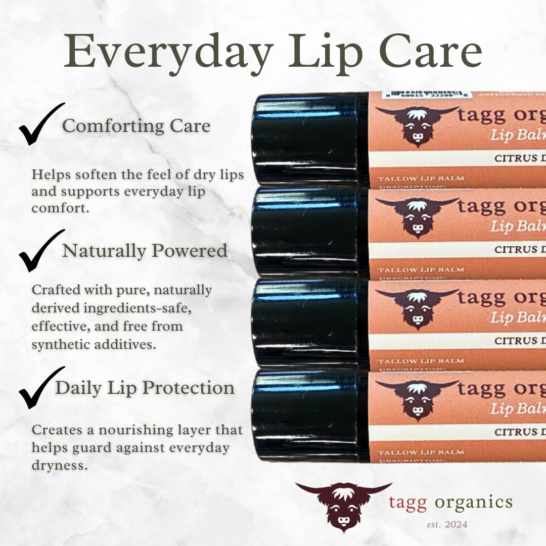 Citrus Deam Tallow Lip Balm - Moisturizing Lip Care with Grass-Fed Tallow, Natural Beeswax & Essential Oils, 4 Pack (.15 oz) Beauty and Personal Care TAGG ORGANICS