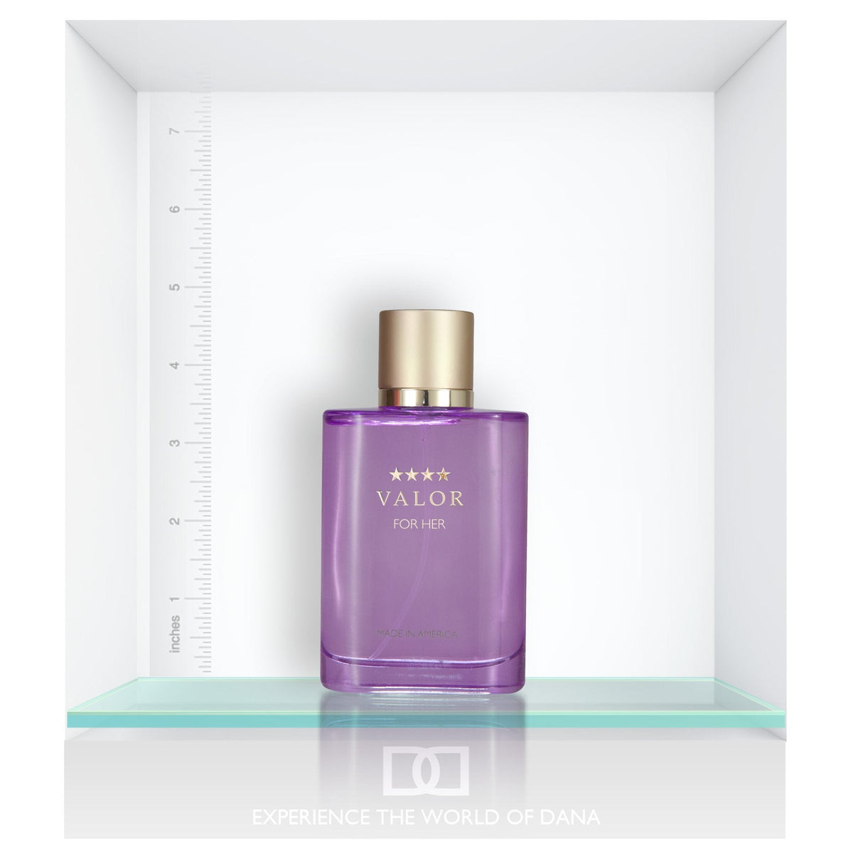 Valor by Dana 3.4 oz Eau De Toilette Spray for Women Beauty & Personal Care Dana