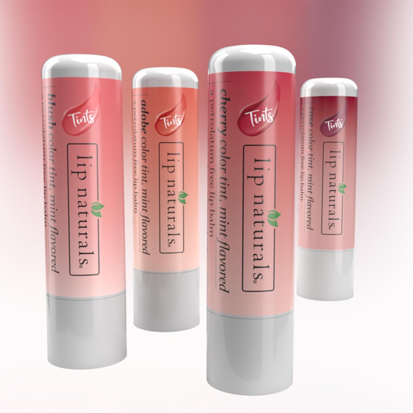 Lip Naturals Tinted Lip Balm 4 Pack of Assorted Colors with Beeswax, Coconut Oil, Vitamin E, and Aloe - Moisturizing Lip Care with a Smooth Mint Beauty and Personal Care LIP NATURALS
