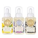 Michel Design Works Mini Foaming Soap 3-Pack Set (Lavender Rosemary, Lemon Basil, Honey Almond) Beauty & Personal Care Michel Design Works