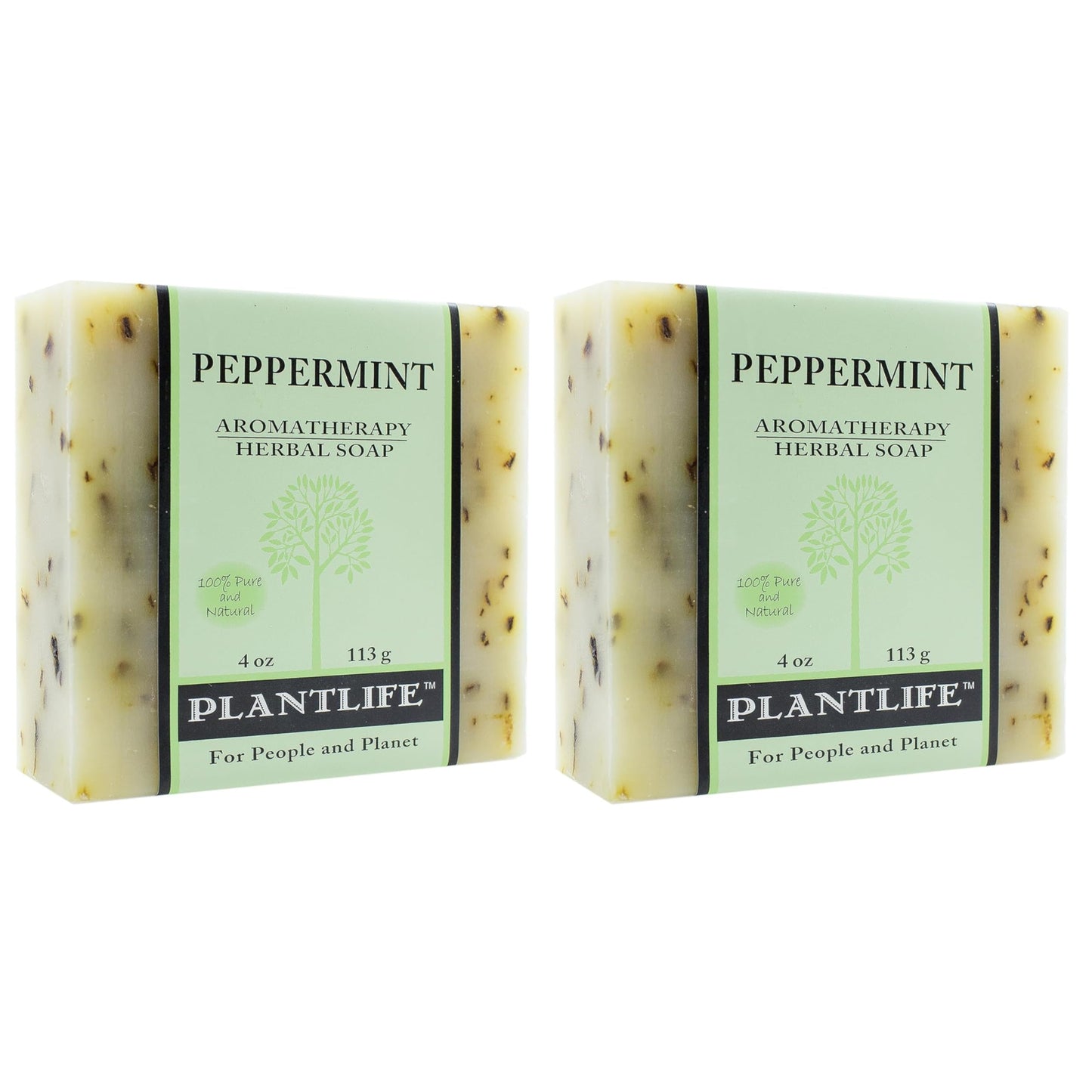 Plantlife Peppermint Bar Soap Pack of 2 - Moisturizing and Soothing Soap for Your Skin - Hand Crafted Using Plant-Based Ingredients - Made in Beauty & Personal Care Plantlife