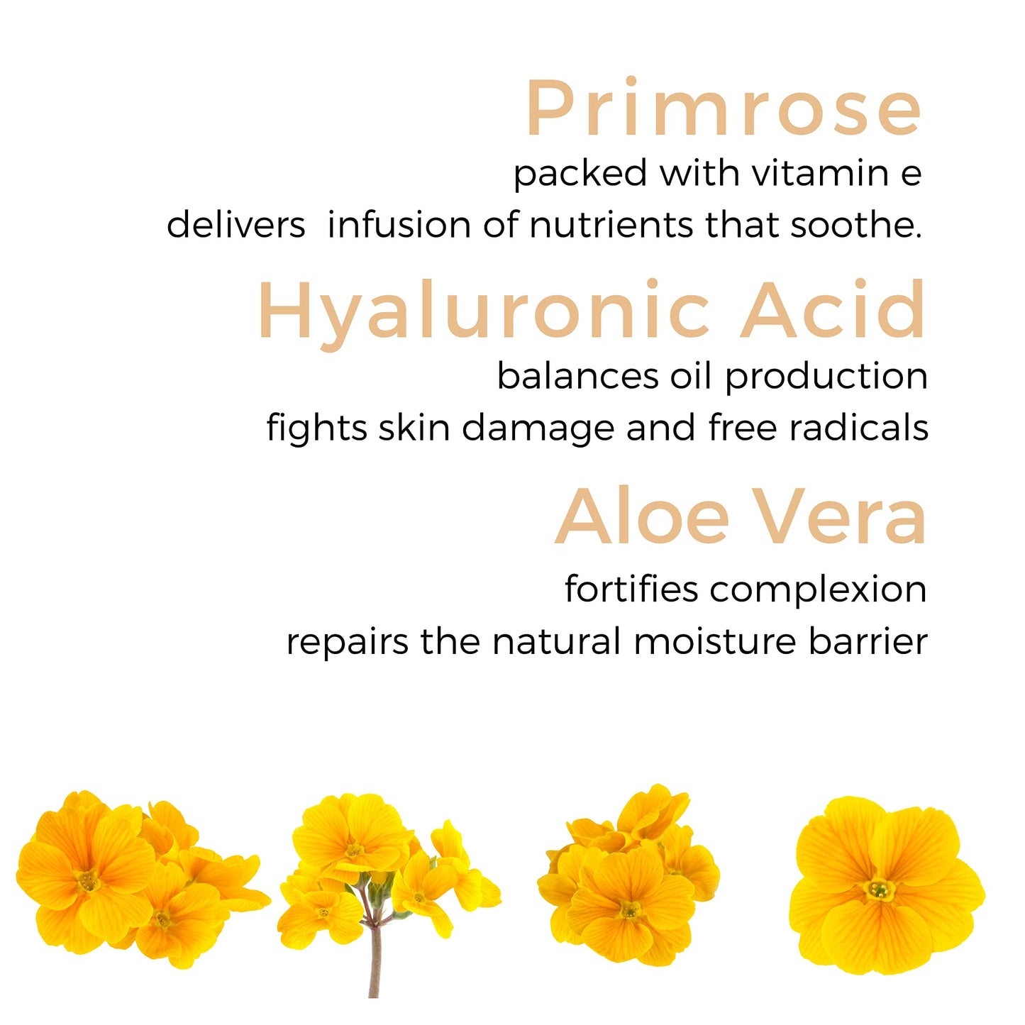 Georgette Klinger Primrose Anti-Aging Eye Cream - .5 oz Beauty & Personal Care Georgette Klinger
