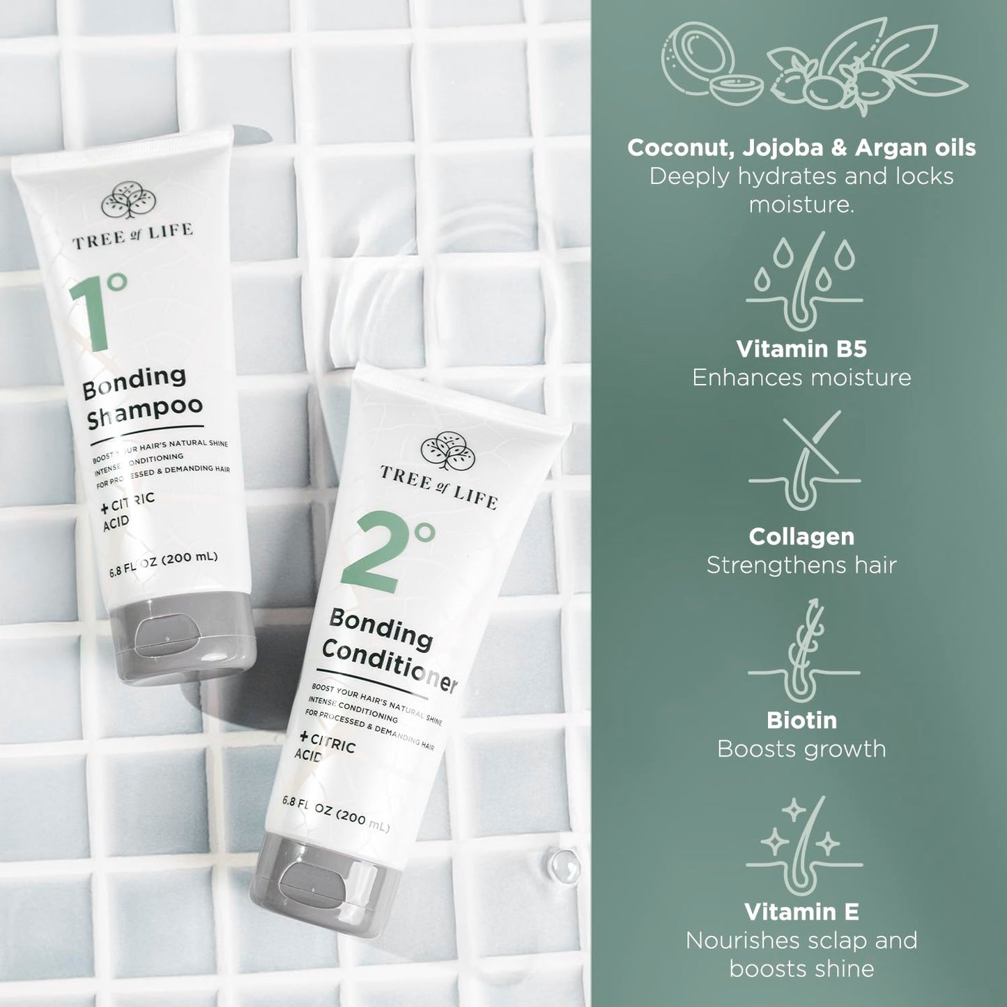 Tree of Life Beauty Bonding Shampoo and Conditioner Set - Hydrating, Strengthening Bond Repair Shampoo and Conditioner with Coconut Oil, Biotin Beauty & Personal Care Tree of Life Beauty