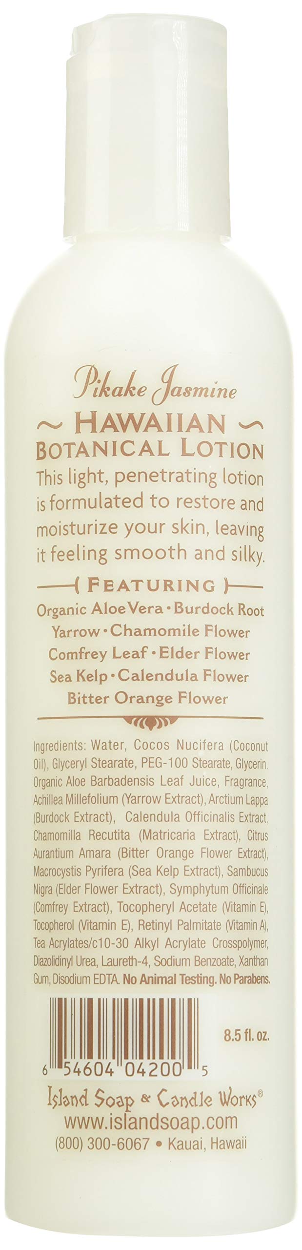Island Soap & Candle Works Coconut Body Lotion – Hydrating Hawaiian Skincare, Paraben-Free Moisturizer for Men & Women, 8.5 fl oz Beauty & Personal Care Island Soap & Candle Works