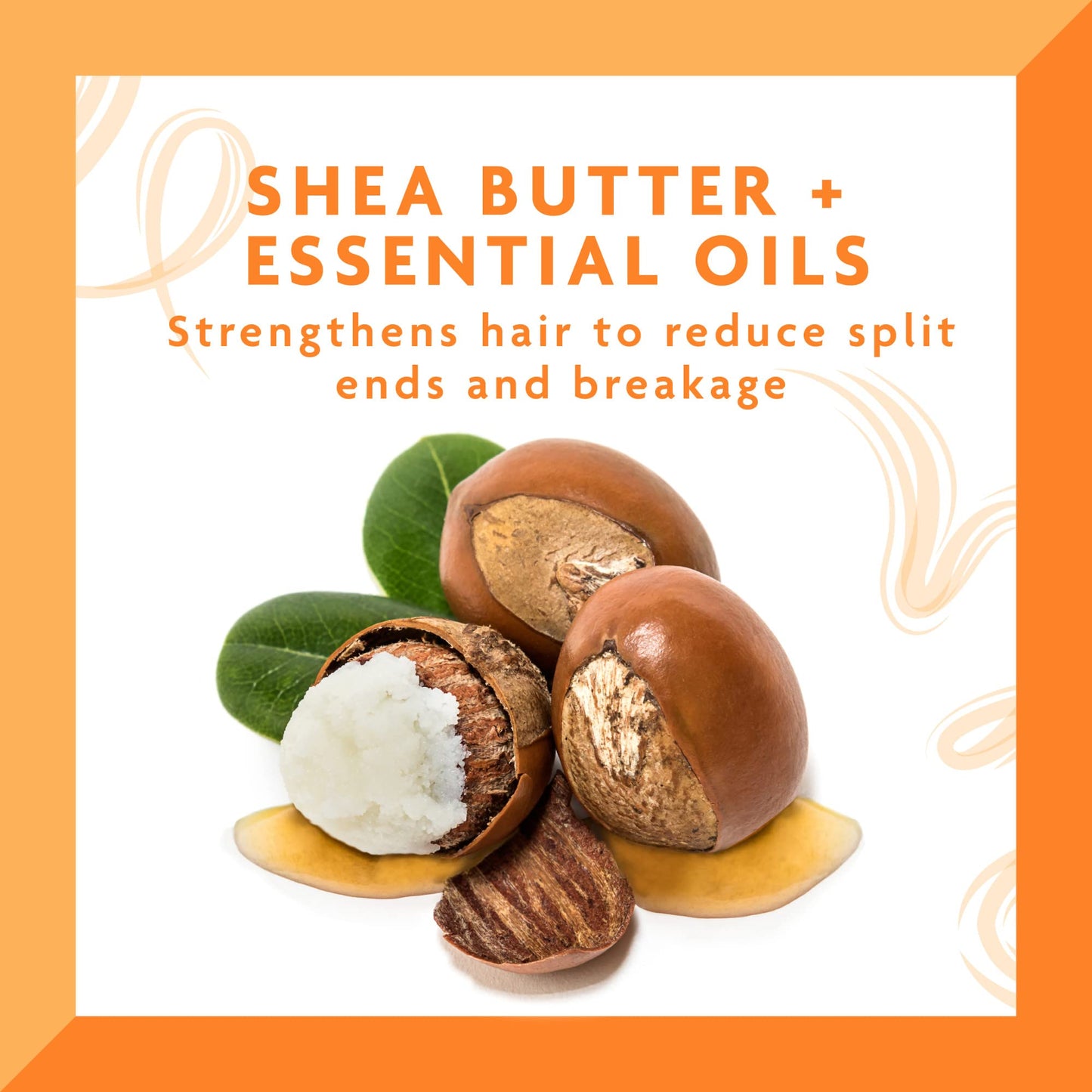 Cantu Daily Oil Moisturizer with Shea Butter, 13 fl oz (Pack of 3) Beauty & Personal Care Cantu