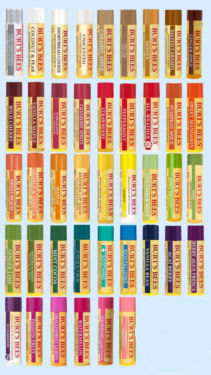 Burt's Bees 10 Count Lip Balm Variety Gift Pack -Stocking Stuffer - 10 Assorted Flavors - No Duplicates - Choosen at Random Beauty and Personal Care Burt's Bees