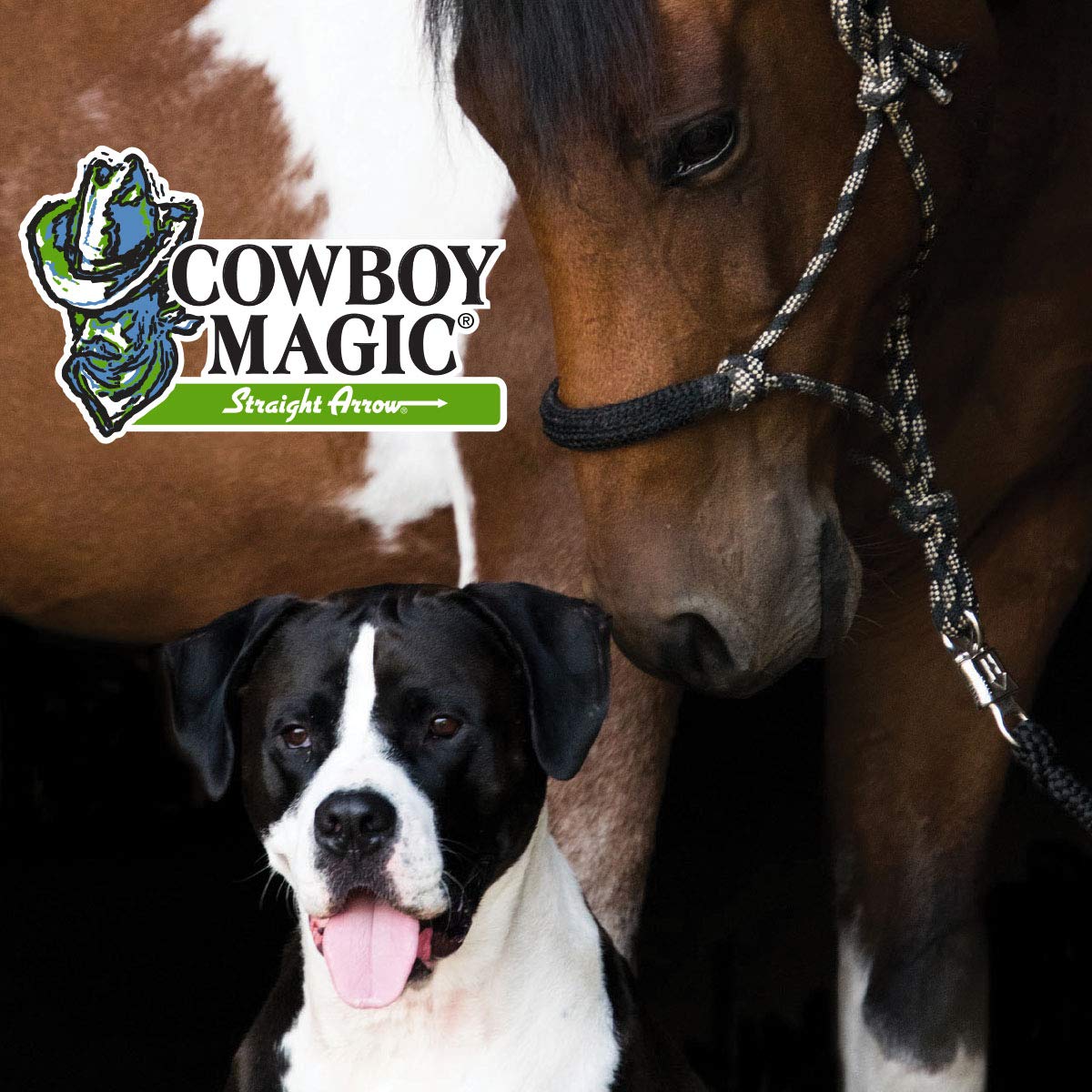 Cowboy Magic Rosewater Shampoo + Conditioner 16 Ounce Each Beauty & Personal Care Cowboy Magic