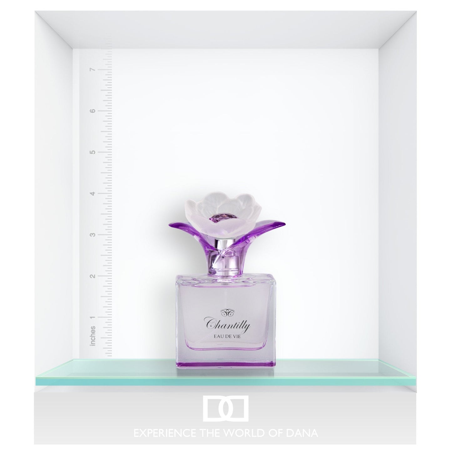Chantilly Eau De Vie By Dana 1.7 oz Eau De Parfum Spray for Women Beauty & Personal Care Dana