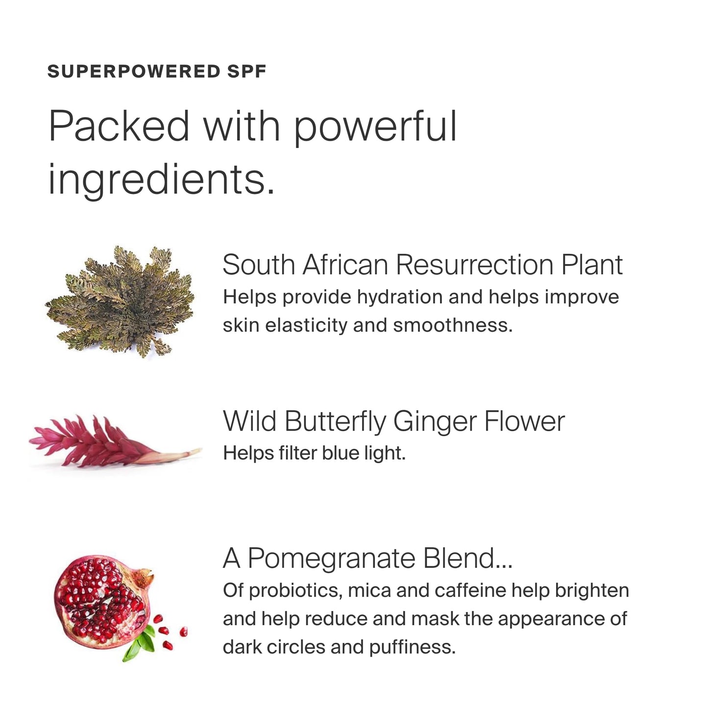 Supergoop! Bright-Eyed 100% Mineral Eye Cream, 0.5 fl oz - SPF 40 PA+++ Hydrating & Illuminating Mineral Sunscreen - Under Eye Cream for Dark Circles Beauty & Personal Care Supergoop!