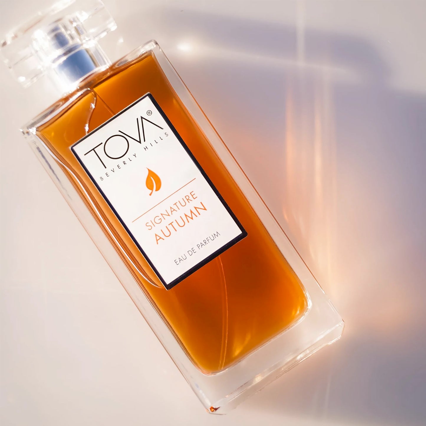 Tova Signature Autumn Eau de Parfum - Crisp Floral Amber Perfume for Women - Peony, Iris & Vanilla Orchid - USA-Made & Cruelty-Free - 3.4 fl oz Beauty & Personal Care Tova
