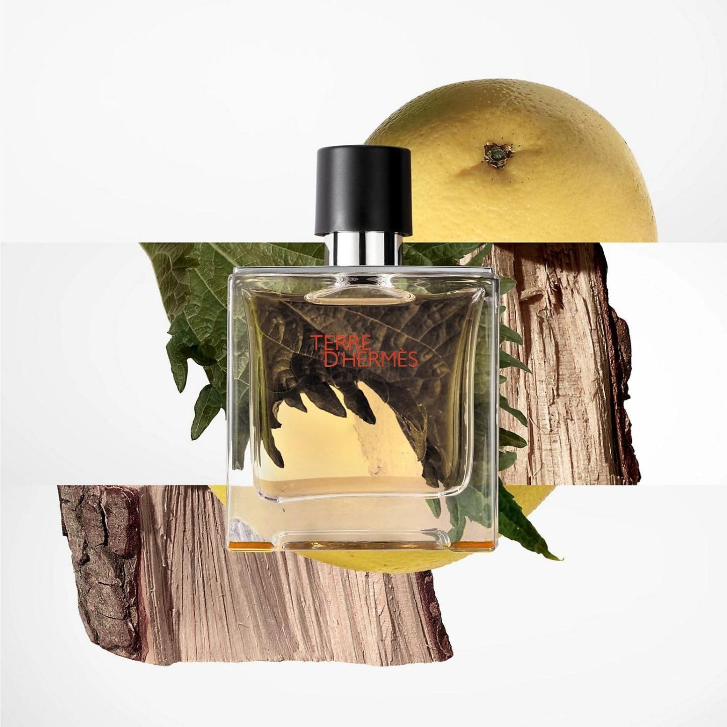 Terre D'Hermes By Hermes Eau De Toilette Spray 6.7 Oz Men Beauty & Personal Care Hermès