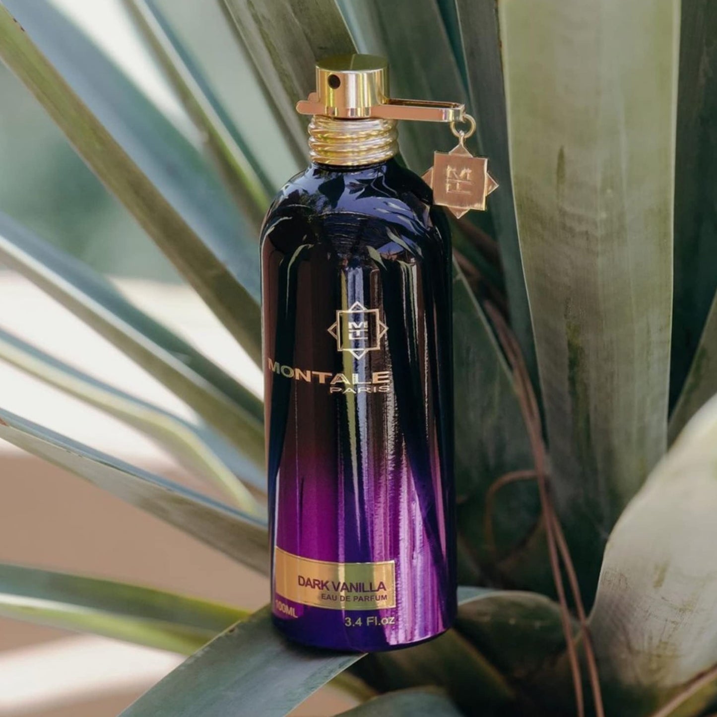 MONTALE Dark Purple Eau de Parfum Spray, 3.3 Fl Oz Beauty & Personal Care MONTALE