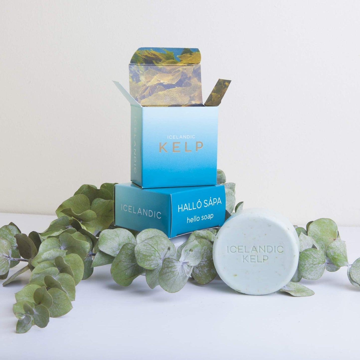Exfoliating Bars of Soap From Natural Ingredients, Assorted Scents - Icelandic Kelp and Moss, Set of 2, 4.3 Ounce Each Beauty & Personal Care Kalastyle