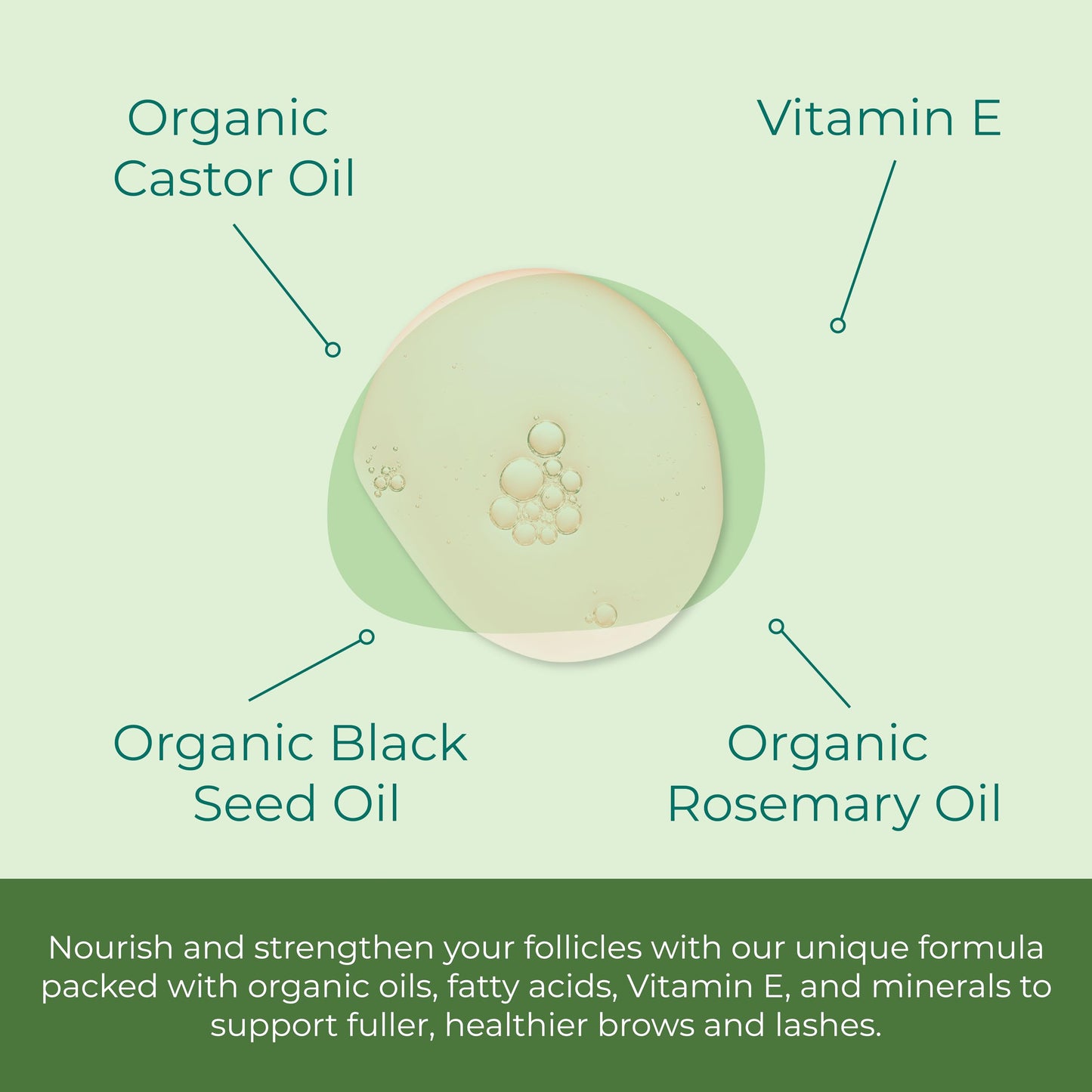 Sea-el Castor Lash & Brow Serum (w 10% Black Seed Oil) 1 oz Beauty & Personal Care Sea-El