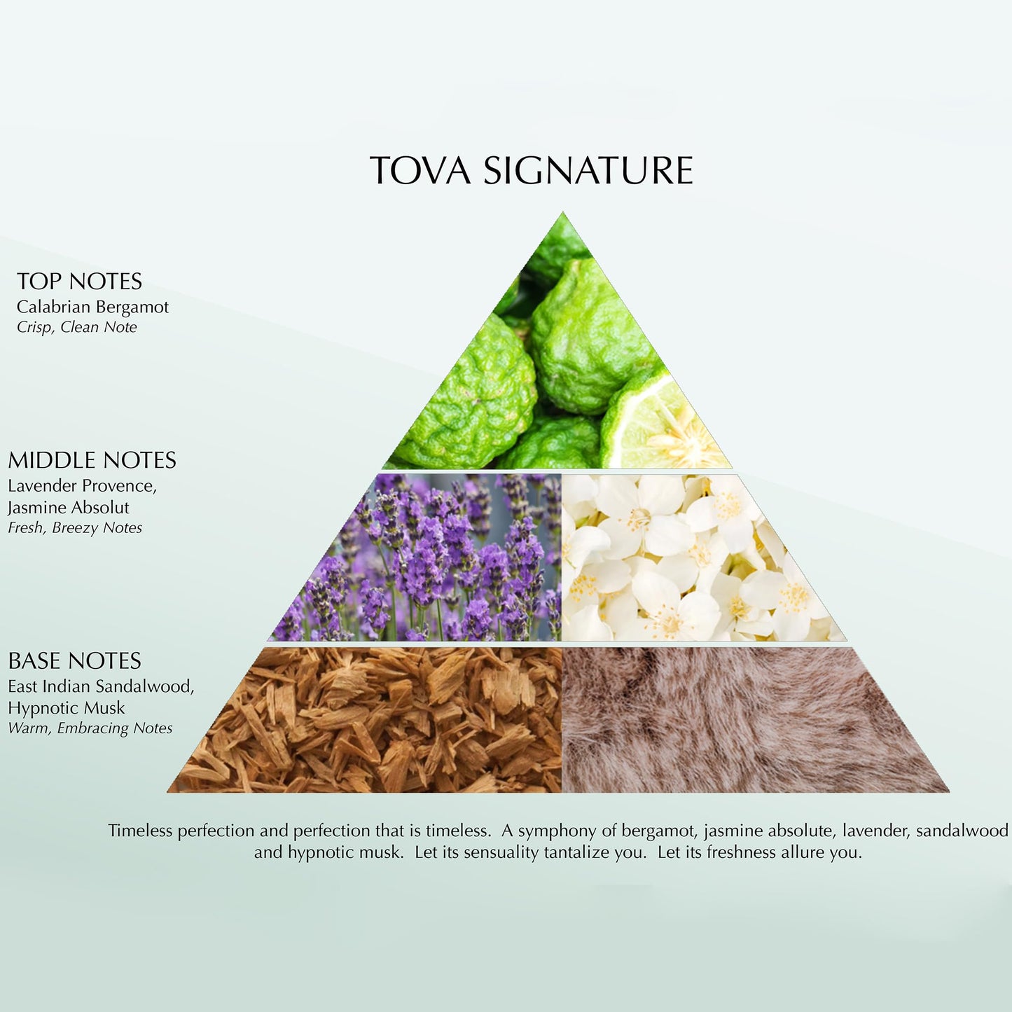Tova Signature Solid Perfume Pencil Beauty & Personal Care Tova