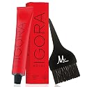 Igora Royal 8-65 Light Blonde Chocolate Gold Permanent Hair Color and M Hair Designs Tint Brush (Bundle 2 items) Beauty & Personal Care M Hair Designs