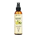 Fantasia Avocado & Cilantro Styling Mousse Spray Formula 178ml/6oz Beauty & Personal Care Fantasia
