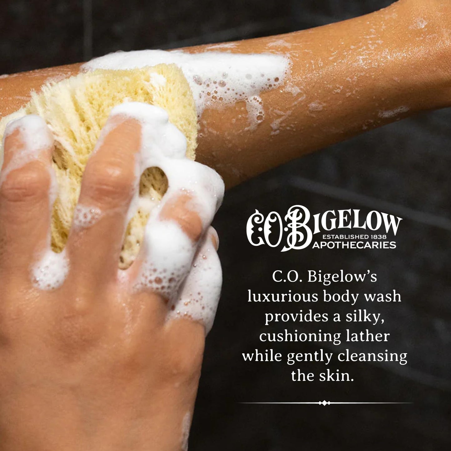 C.O. Bigelow Bergamot Body Wash, Iconic Collection Moisturizing Body Wash with Coconut Oil & Aloe Vera, 10.5 Fl Oz Beauty & Personal Care C. O. Bigelow