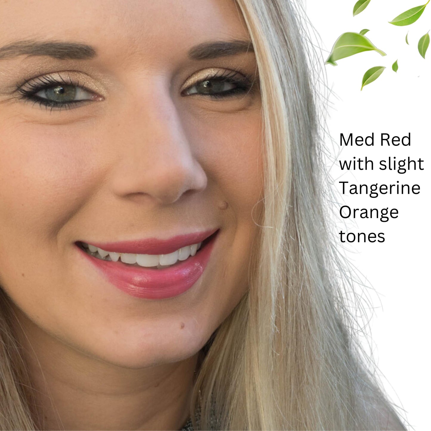 Fifth & Skin BOTANICAL Lipstick (POMEGRANATE) | Vegan | Natural | Organic | Certified Cruelty Free | Paraben Free | Petroleum Free | Healthy | Beauty & Personal Care Fifth & Skin