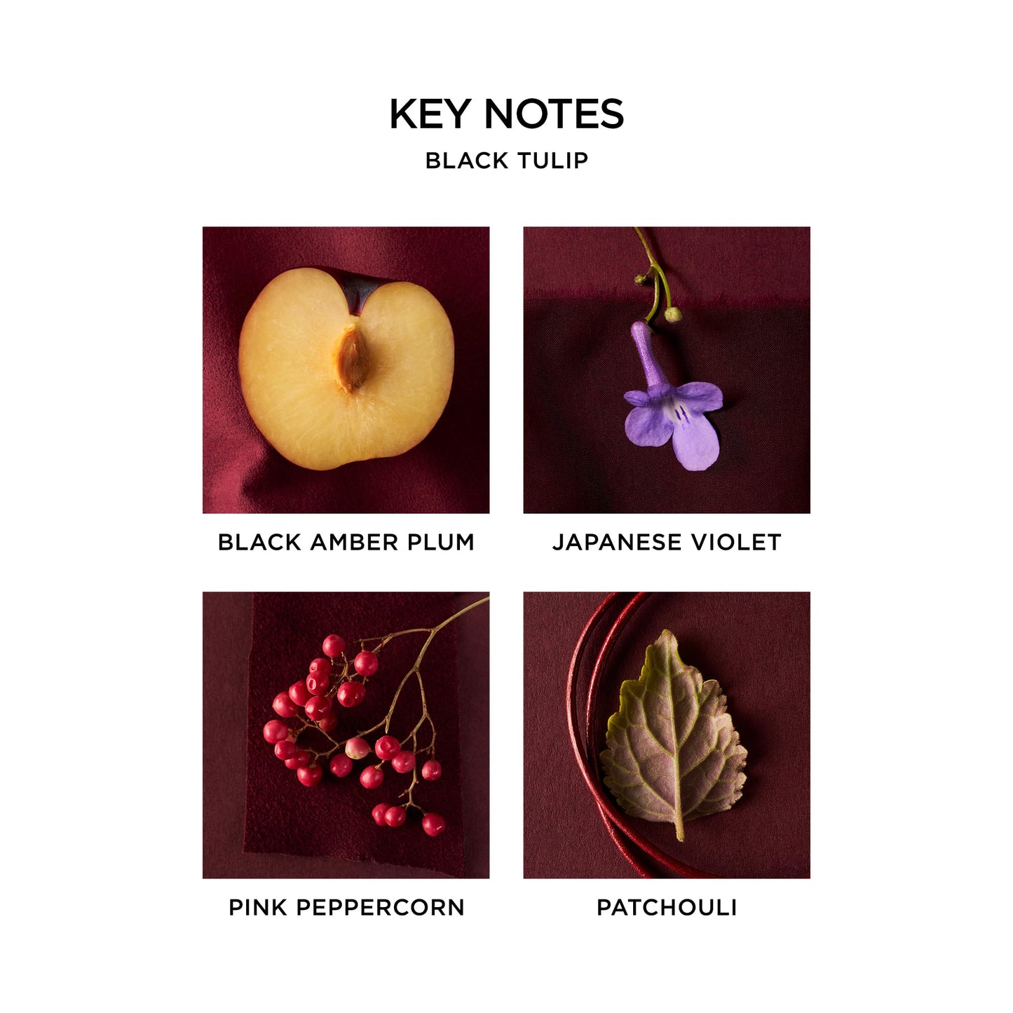 NEST New York Black Tulip Eau de Parfum (Travel Spray) - 8 mL - Vegan & Cruelty Free Beauty & Personal Care NEST New York